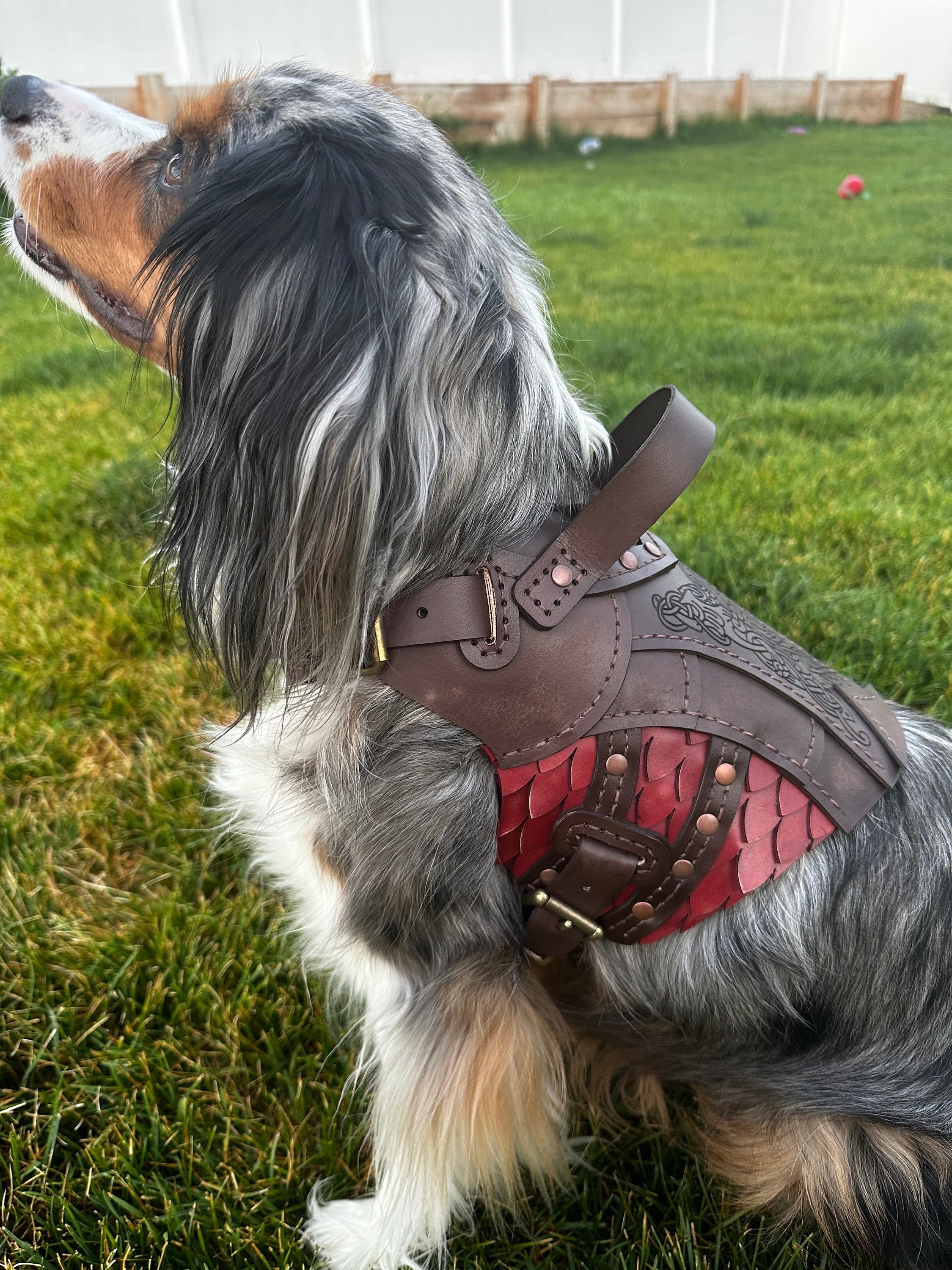 Heimdall Leather Dog Harness Armor — Size Medium