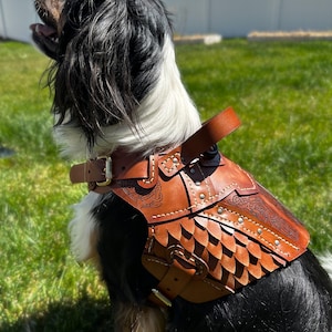 Frigga Leather Dog Harness Armor