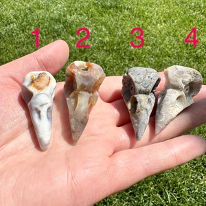 Agate Bird Skull Carvings, Pendants