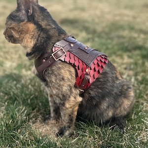 Dagmar Leather Cat Harness Armor