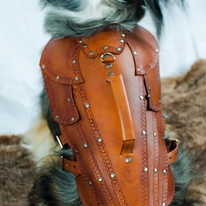 Maeve Leather Dog Armor Harness