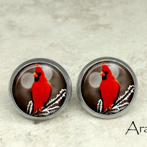 Glass dome cardinal earrings, cardinal earrings, cardinal stud earrings, cardinal post earrings AN156E