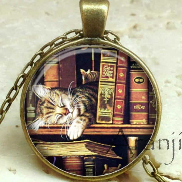 Cat on bookshelf pendant, book necklace, book jewelry, books, library necklace, library pendant, bookshelf necklace, Pendant #HG232BR