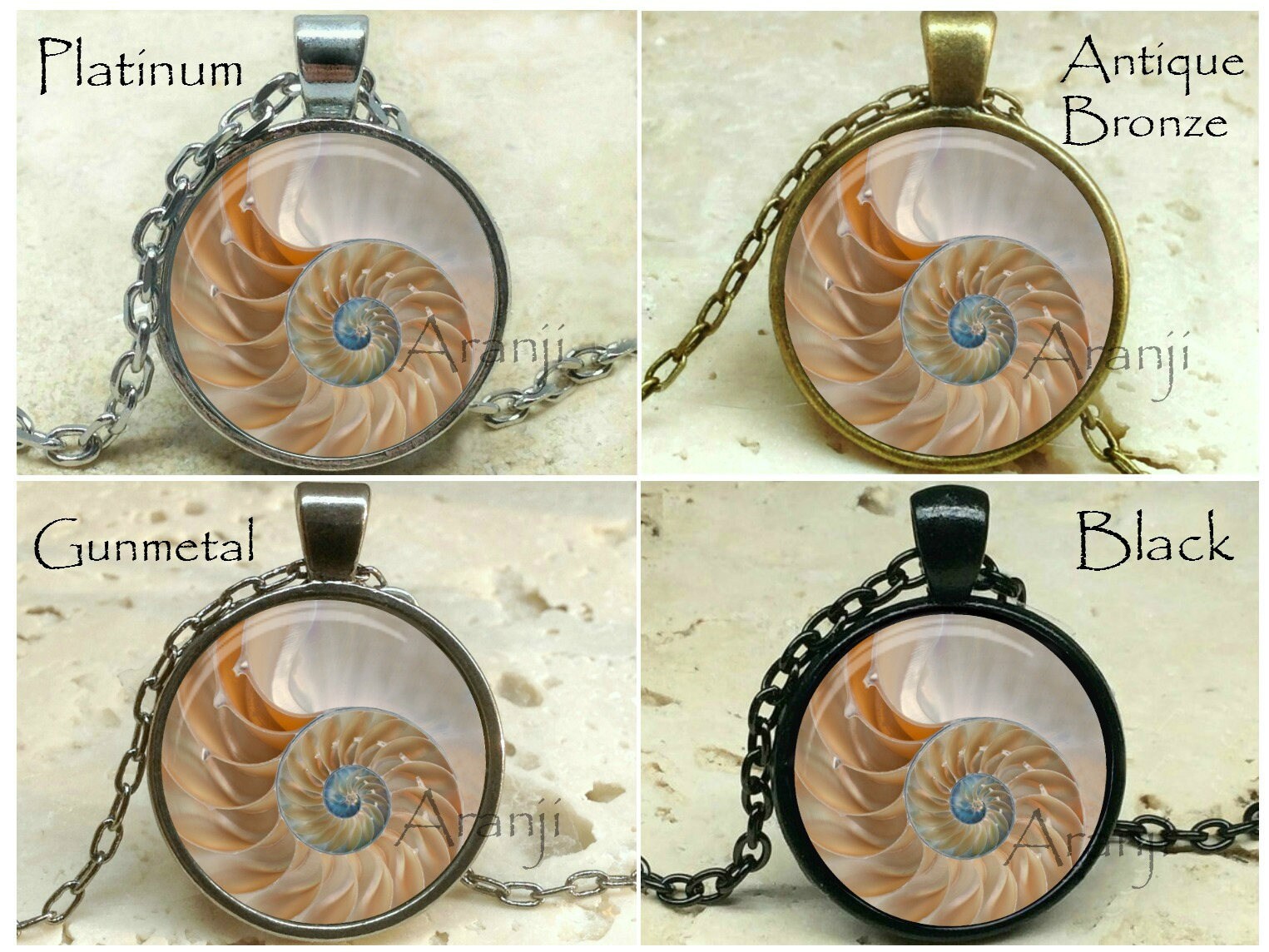 Chambered nautilus art pendant chambered nautilus jewelry Etsy