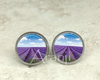 Lavender fields stud earrings, lavender stud earrings, lavender fields post earrings, purple stud earrings, post earrings, lavender SP197E