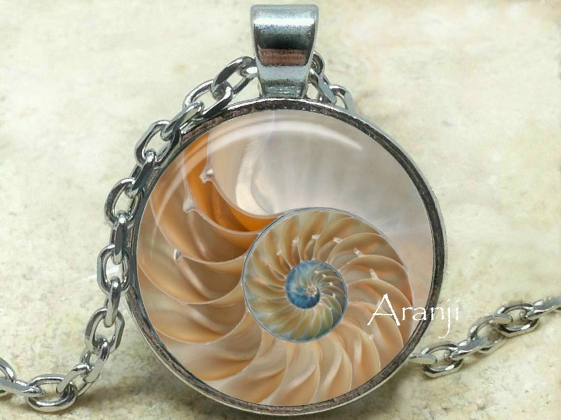 Chambered Nautilus Art Pendant Chambered Nautilus Jewelry Etsy