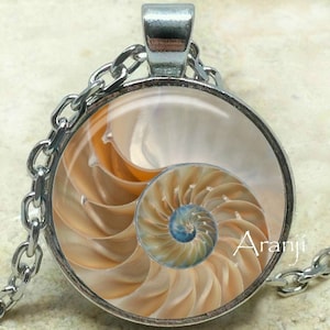 Chambered nautilus art pendant, chambered nautilus jewelry, shell pendant, spiral pendant, shell spiral, nautilus necklace, Pendant #AN151P