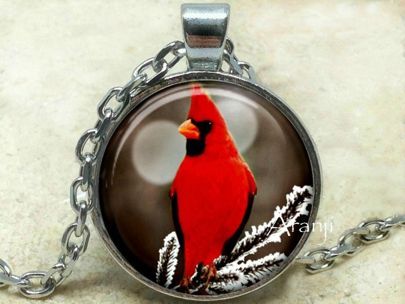 May include: A silver chain necklace with a round glass pendant featuring a red cardinal perched on a snowy branch.