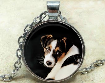 Rat terrier pendant, pet necklace, pet pendant, rat terrier necklace, puppy pendant, dog pendant, dog necklace, rat terrier, Pendant #AN132P