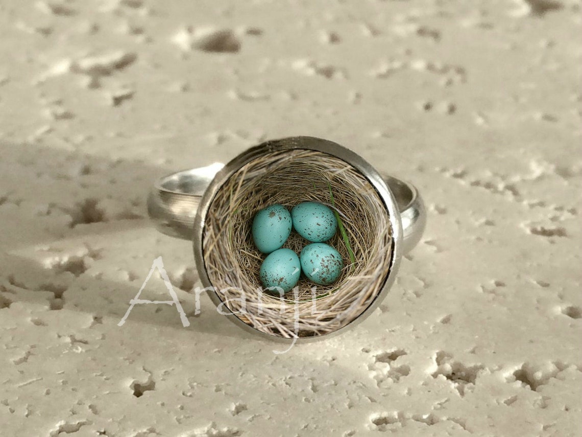 Bird's Nest Ring Nest Ring Ring Bird Nest Jewelry Mom Etsy