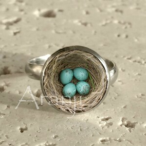 May include: A silver ring with a round, clear glass top featuring a bird's nest with four blue eggs.
