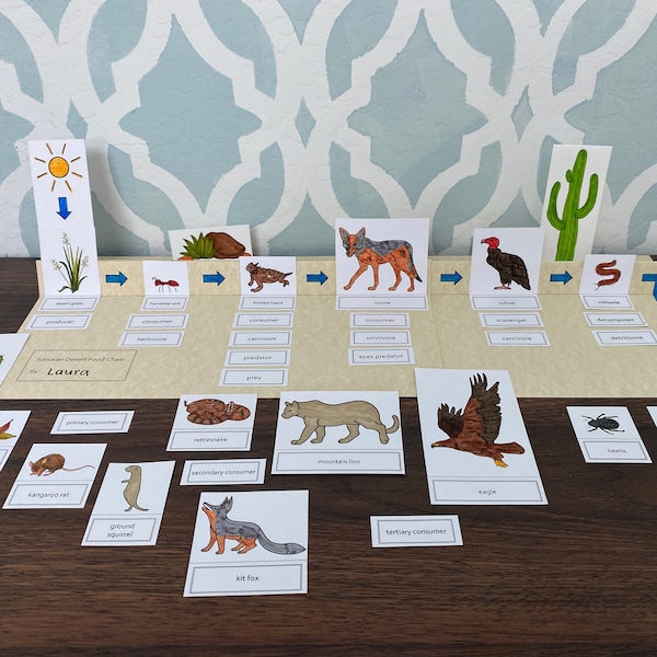 Food Chain Project Etsy food-chain-project-etsy