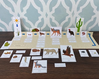 Sonoran Desert Expanded Food Chain Printable