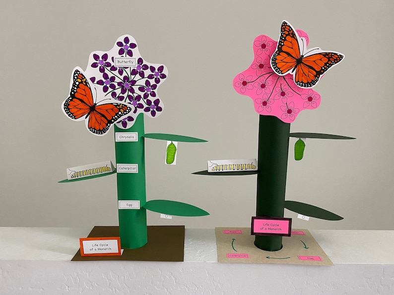 May include: Two paper models depicting the life cycle of a monarch butterfly. The models illustrate the stages of the butterfly's life, from egg to caterpillar to chrysalis to butterfly. The models are made from paper and cardboard and are decorated with colourful illustrations. The text "Life Cycle of a Monarch" is included on the base of each model.