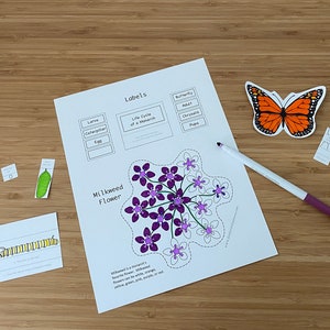May include: A printable worksheet with labels for a life cycle of a monarch butterfly. The worksheet includes a milkweed flower with purple and white flowers, a butterfly, a caterpillar, a chrysalis, and an egg. The worksheet also includes the text "Labels", "Life Cycle of a Monarch", "Milkweed Flower", and "Milkweed is a monarch's favourite flower. Milkweed flowers can be white, orange, yellow, green, purple, red, or pink."