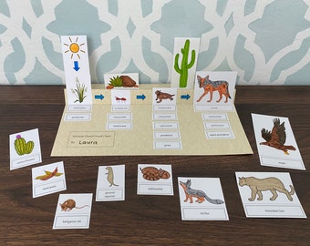 Sonoran Desert Food Chain Printable