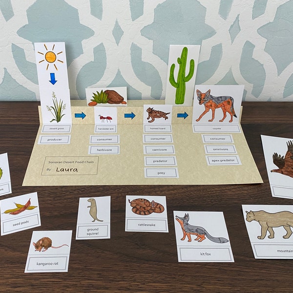 Sonoran Desert Food Chain Printable