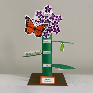 Manualidad de papel imprimible sobre el ciclo de vida de la mariposa monarca