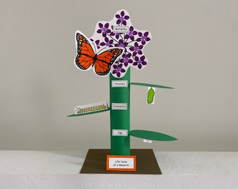 Monarch Butterfly Life Cycle Printable Papercraft