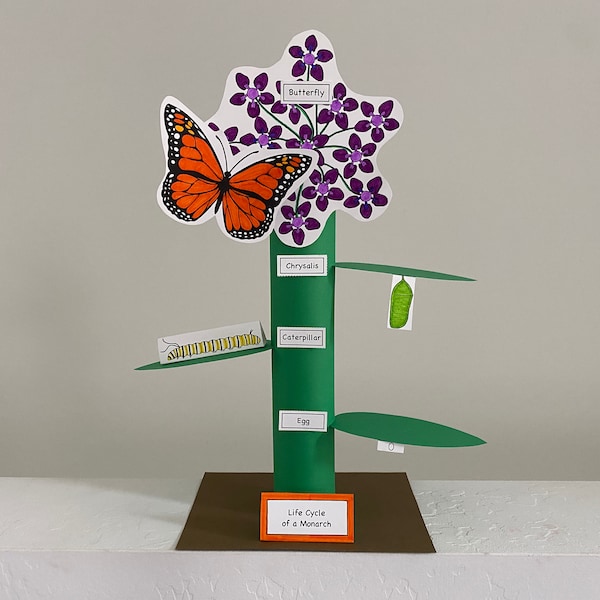 Monarch Butterfly Life Cycle Printable Papercraft