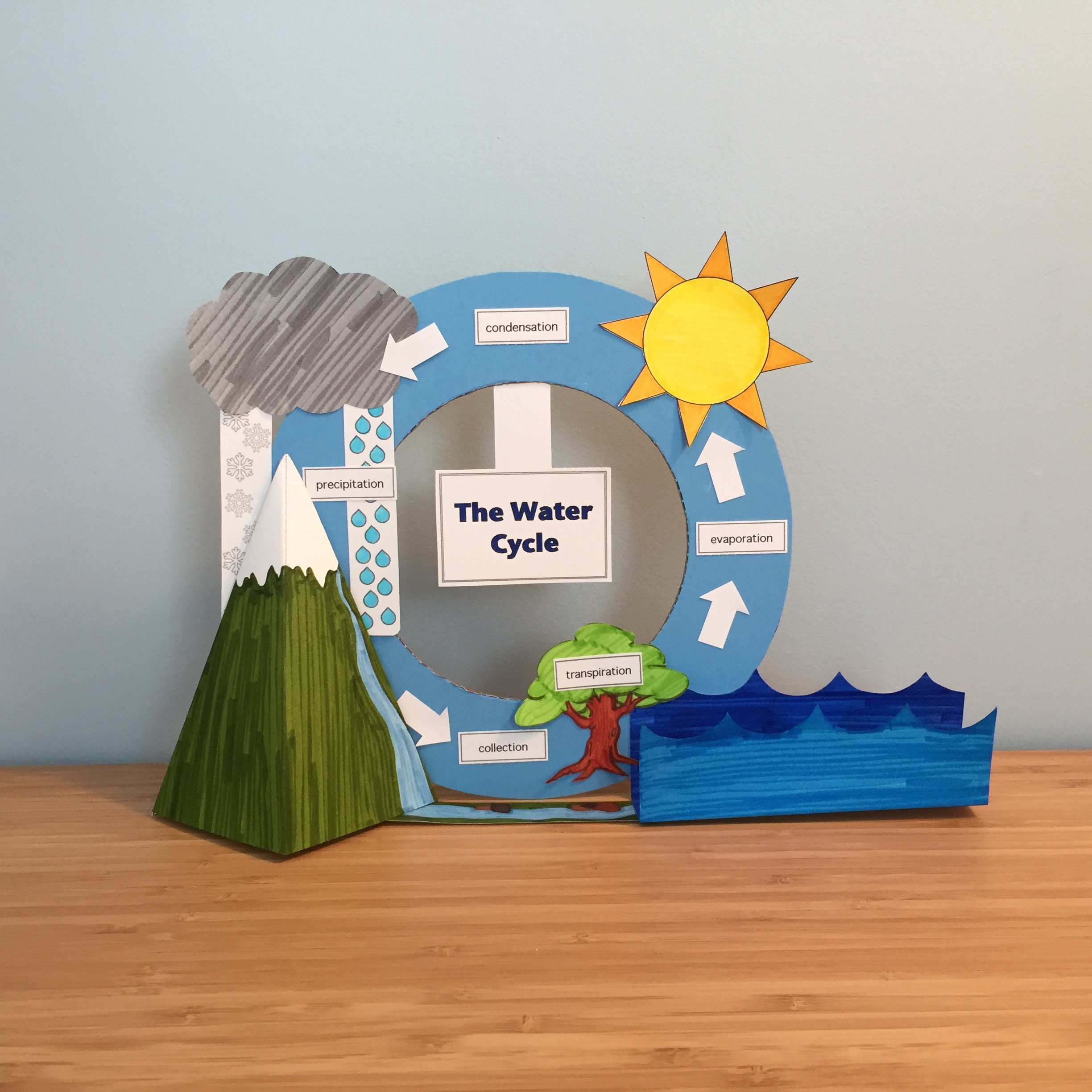 TIME for Kids | The Water Cycle
