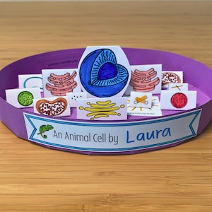 Paper Animal Cell Model - Etsy
