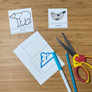 Arctic Ocean Food Chain Printable - Etsy Australia