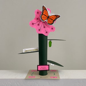 May include: A paper model depicting the life cycle of a monarch butterfly. The model illustrates the stages of the butterfly's life, from egg to caterpillar to chrysalis to butterfly. The model is crafted from paper and cardboard and is painted in vibrant colours. The model sits on a brown base with the words "Life Cycle of a Monarch" written on it.