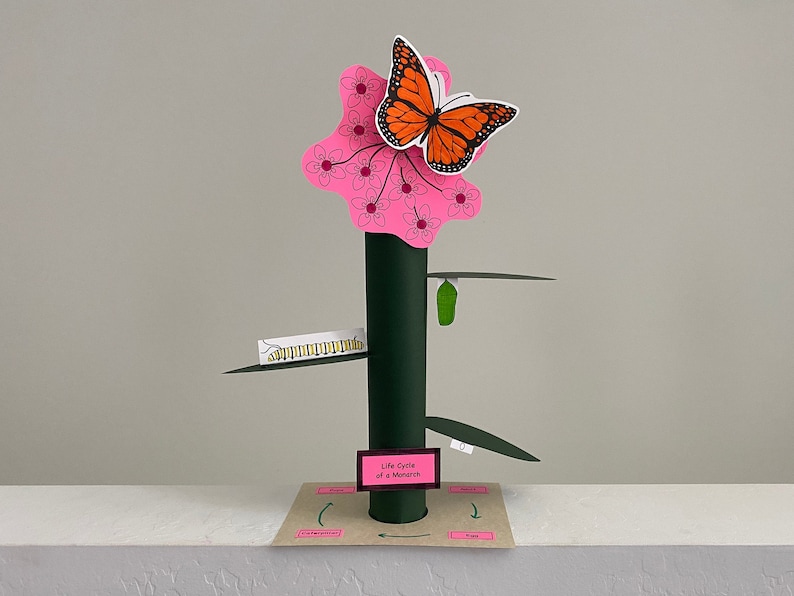 May include: A paper model depicting the life cycle of a monarch butterfly. The model illustrates the stages of the butterfly's life, from egg to caterpillar to chrysalis to butterfly. The model is crafted from paper and cardboard and is painted in vibrant colours. The model sits on a brown base with the words "Life Cycle of a Monarch" written on it.
