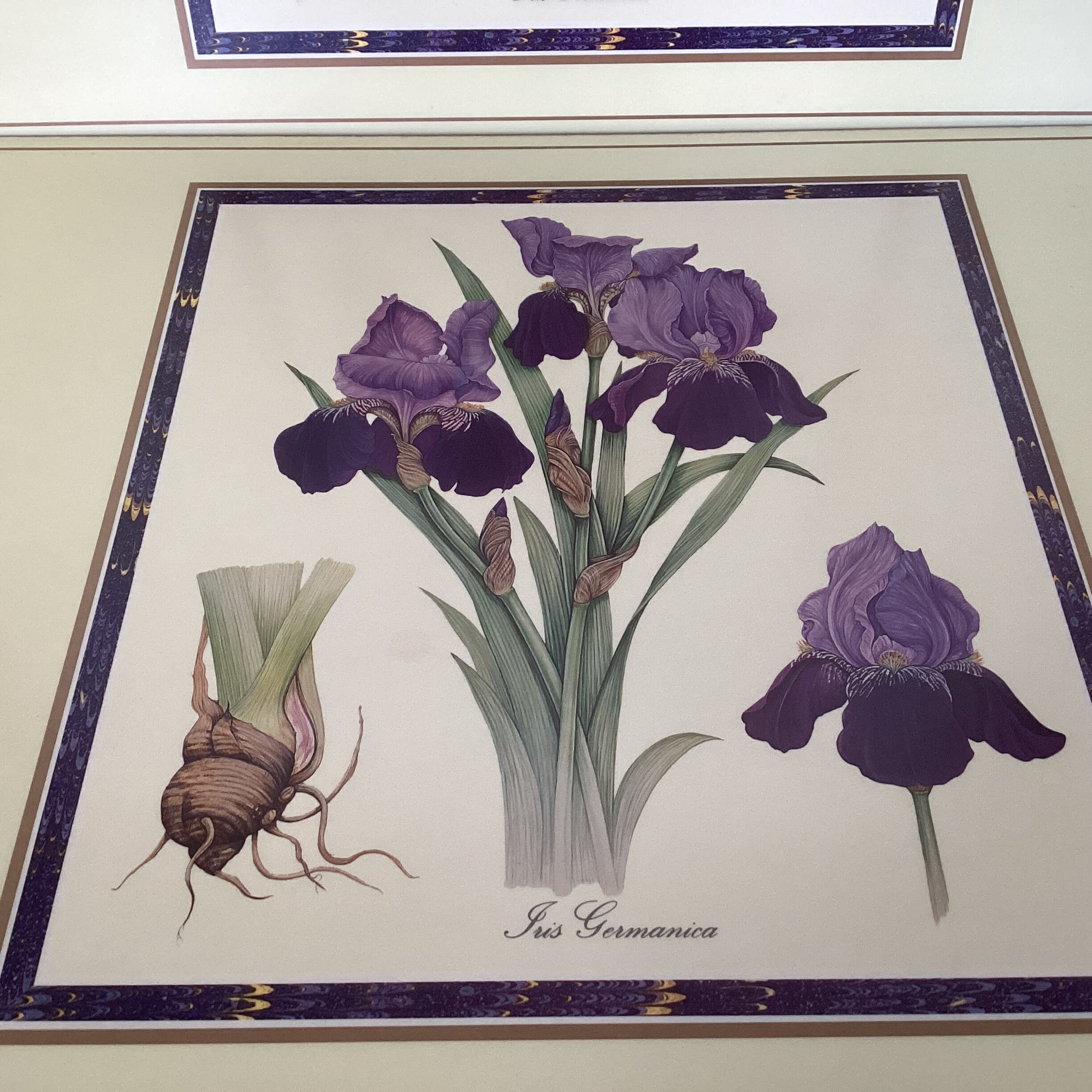 Vintage Pimpernel Hardboard Placemats Set of 4 Laminated Place Etsy