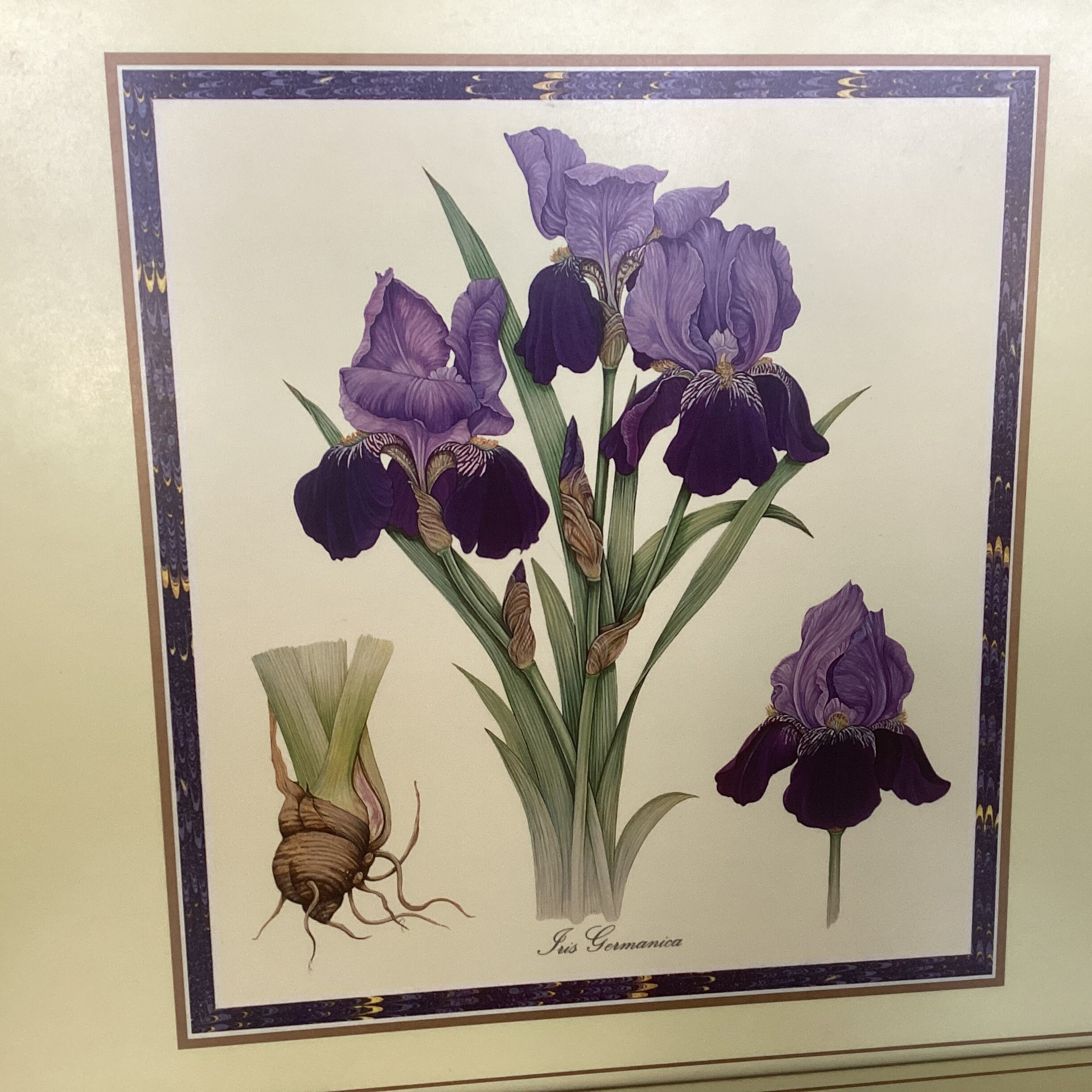 Vintage Pimpernel Hardboard Placemats Set of 4 Laminated Place Etsy