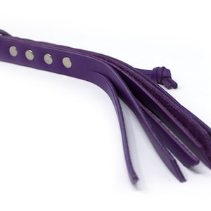 10&quot; Mini Whip: Purple