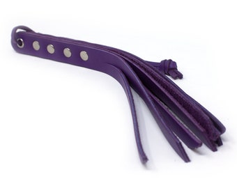 10" Mini Whip: Purple