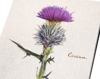 Handmade Natural Linen Photo Book with Thistle Drawing Cover