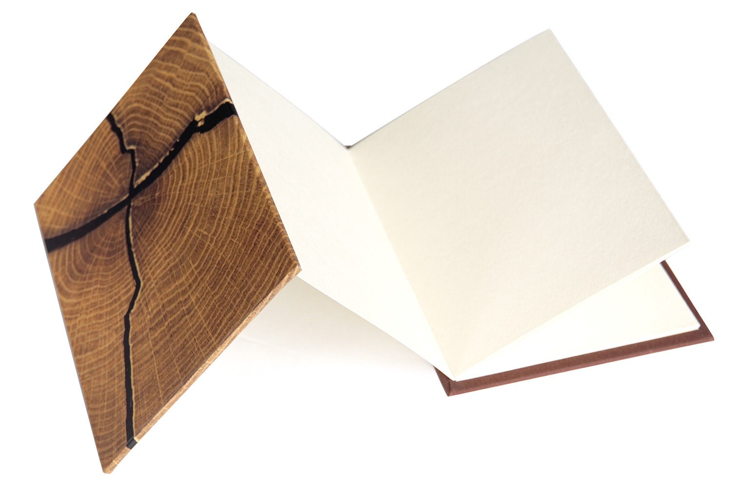 Handmade Japanese Concertina Photo Book tree Rings Etsy