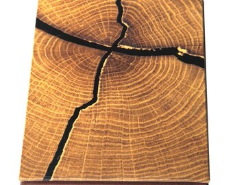 Handmade Japanese Concertina Photo Book "Tree Rings"