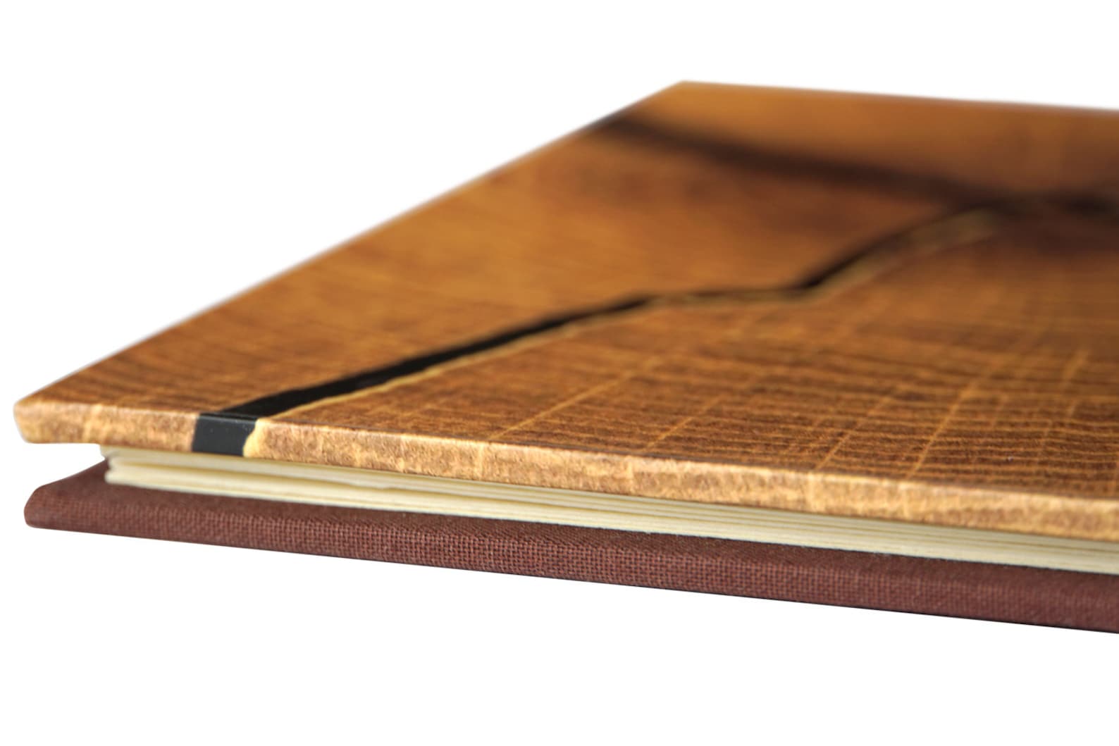 Handmade Japanese Concertina Photo Book tree Rings Etsy