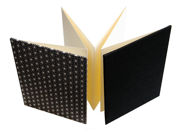 Album Souvenir Leporello (concertina) De Dieppe, France - Edition Originale 1900, Occasion