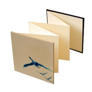 Álbum Blue Flight Mini Leporello