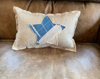 ADORABLE ANTIQUE QUILT star patch on vintage grainsack pillow