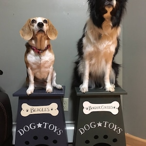 Może przedstawiać: Dwa psy, Beagle i Border Collie, siedzą na pasujących drewnianych stojakach na zabawki dla ps&oacute;w. Stojaki są pomalowane na niebiesko i zielono i mają na każdym tabliczkę w kształcie kości z nazwą rasy. Tabliczki głosiły "Beagles" i "Border Collies". Stojaki mają wycięcie w kształcie psiej łapy i napis "Dog Toys".