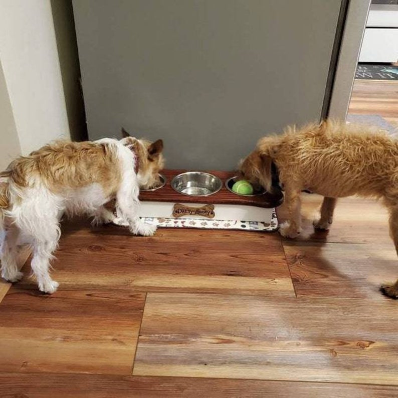 May include: Two dogs eating from a wooden dog bowl with three stainless steel bowls. The bowl has a white surface with a paw print design and the text "Dirty Paws" printed on it.