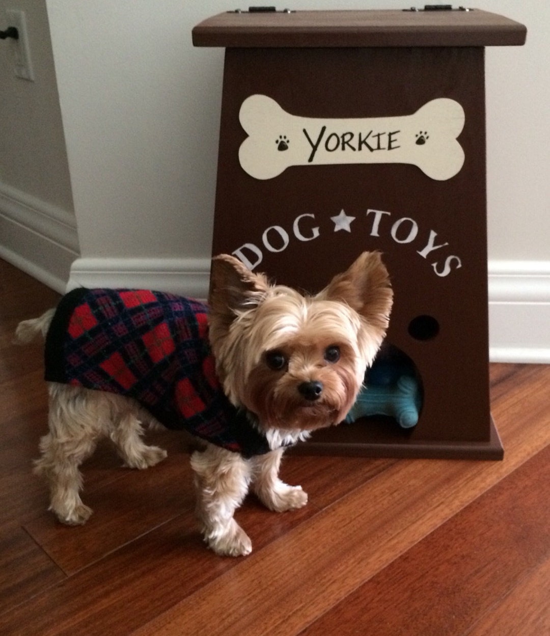 The 20 Best Durable Toys for Yorkies