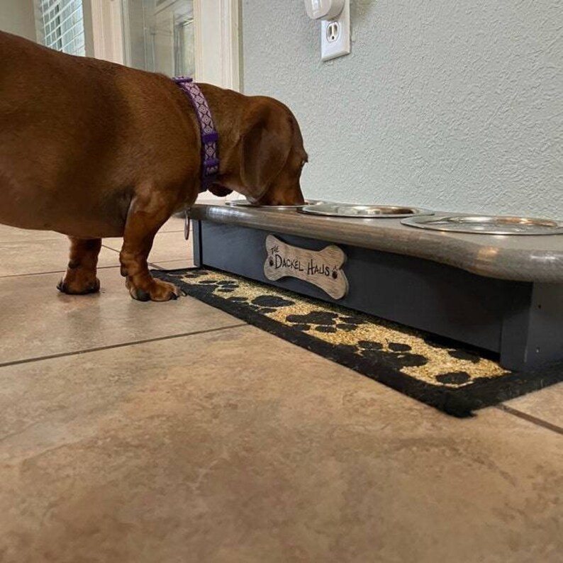 May include: A brown dachshund dog eating from a raised wooden dog bowl stand with three stainless steel bowls. The stand is painted gray and has a wooden plaque with the text "Dachsel Haus" on the front.