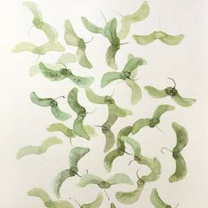 Large Watercolour painting Falling leaves illustration 15&quot;x 22&quot; Botanical painting Nature wall art Modern home décor Original watercolours