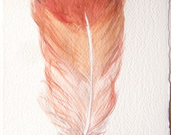 Feather painting. Original watercolor illustration. Pastel coral feather. Small watercolors 7, 5 by 11 inch. Kitchen decor. Home decor.