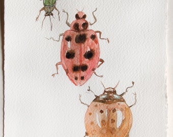 Ladybug watercolor painting original. Insect painting. Watercolor Art original. Small watercolor, minimalistic 7, 5 by 11 inches