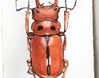 Beetle painting Insects illustration Beetle wall art Tomato Red beetle watercolour Home gallery Small watercolours 7,5 x 11 Kitchen décor