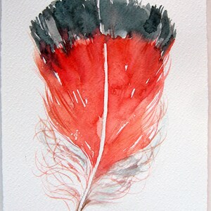 Watercolor painting of feather. Coral red feather illustration. Art original only. Feather&#39;s painting. Home decor. Small watercolors