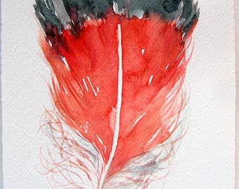 Watercolor painting of feather. Coral red feather illustration. Art original only. Feather's painting. Home decor. Small watercolors